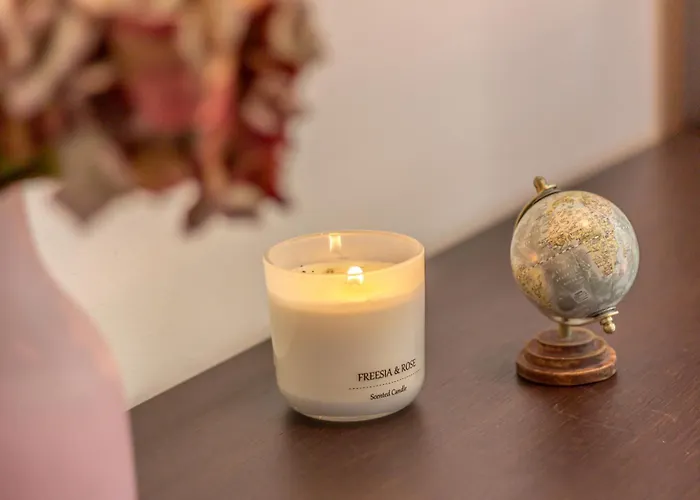 Modern Two-room With Quiet Courtyard 公寓 博洛尼亚